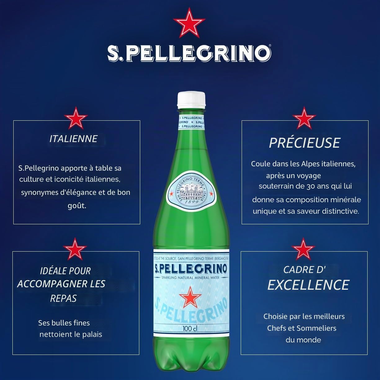 S. Pellegrino Eau minérale naturelle avec gaz 4 paquets de 6 x 50 cl 24 bouteilles