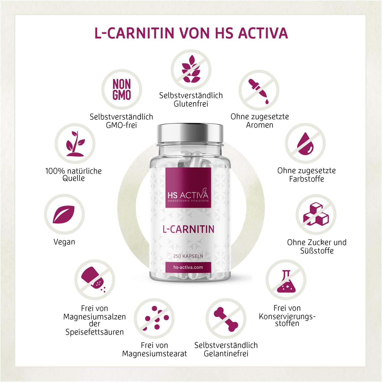 HS Activa L-Carnitin 250 Kapseln, 500mg L-Carnitin Tartrat pro Kapsel