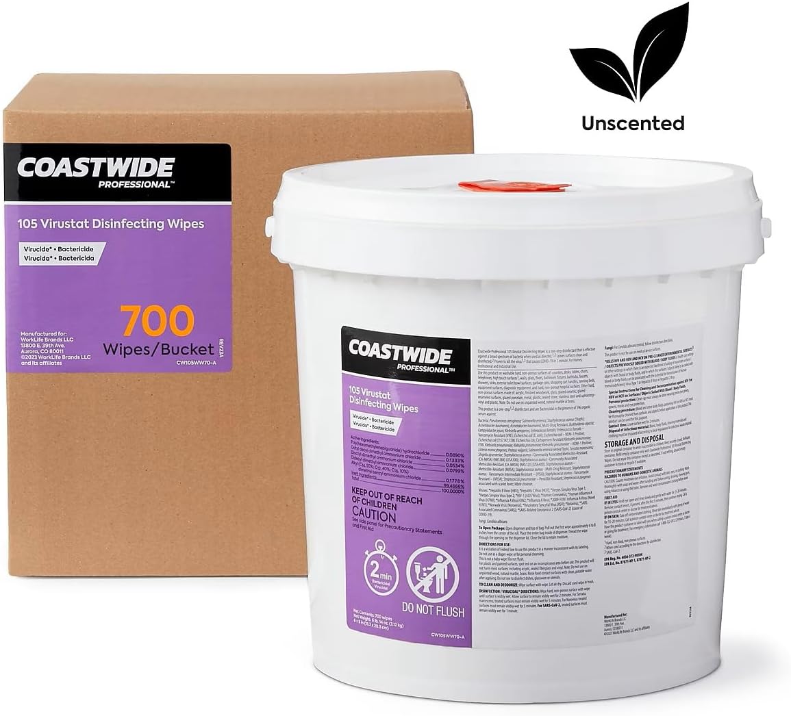 Coastwide Professional Disinfecting Wipes, 700 Wipes/Container, 700/Pack