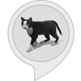  Zeige mir eine Katze