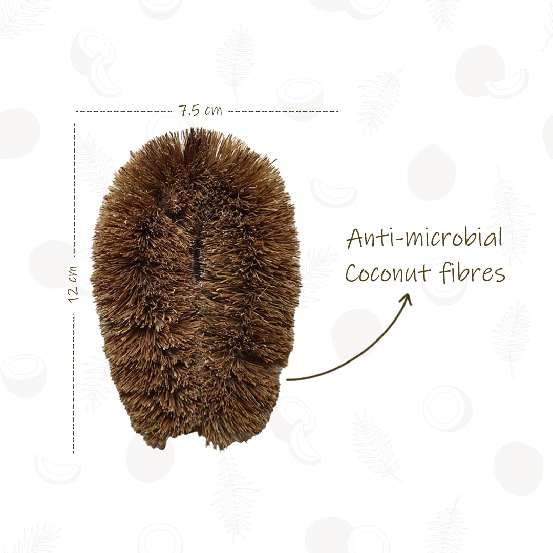 Almitra Sustainables Natural Kitchen Cleaning Brush (Set of 2).Long Bottle Cleaning Brush for Wide Mouth Bottles and Scrubber for Cleaning Vegetable & Fruits. Made of Coconut Coir Bristles. - Image 6 thumbnail