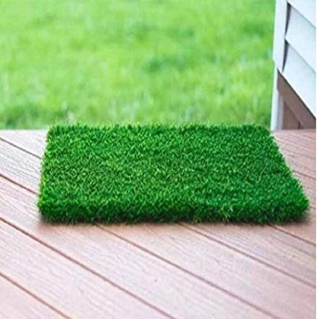 F2L 35 mm High Density Artificial Lawn | Premium Grass Lawn Turf | Indoor & Outdoor UseCarpet Mat | Dust & Waterproof | Skin Friendly | Artificial Lawn Carpet Mat (Size - 2 x 1 feet)