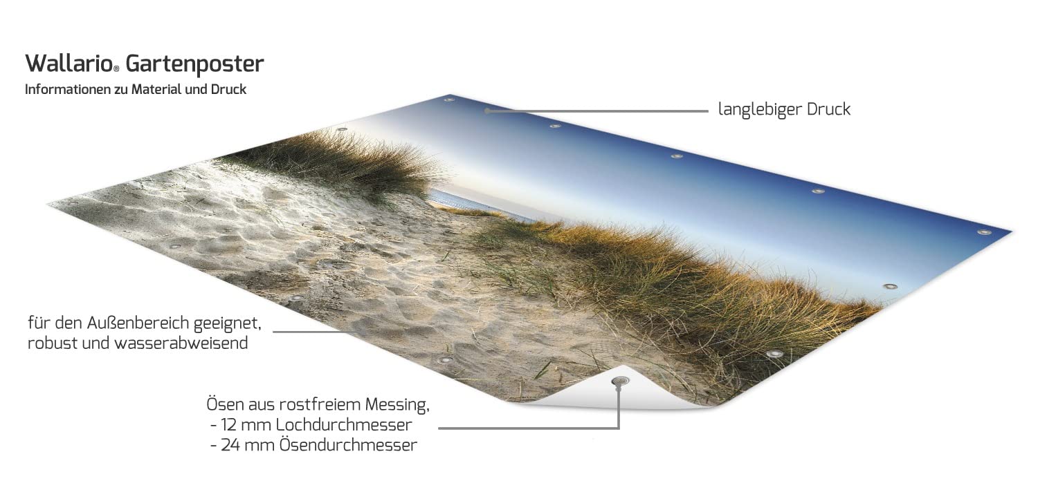 Wallario Poster 'Schilfrohr Am See' - 80x200 Cm, Mattes Premium-Papier, Made In Germany