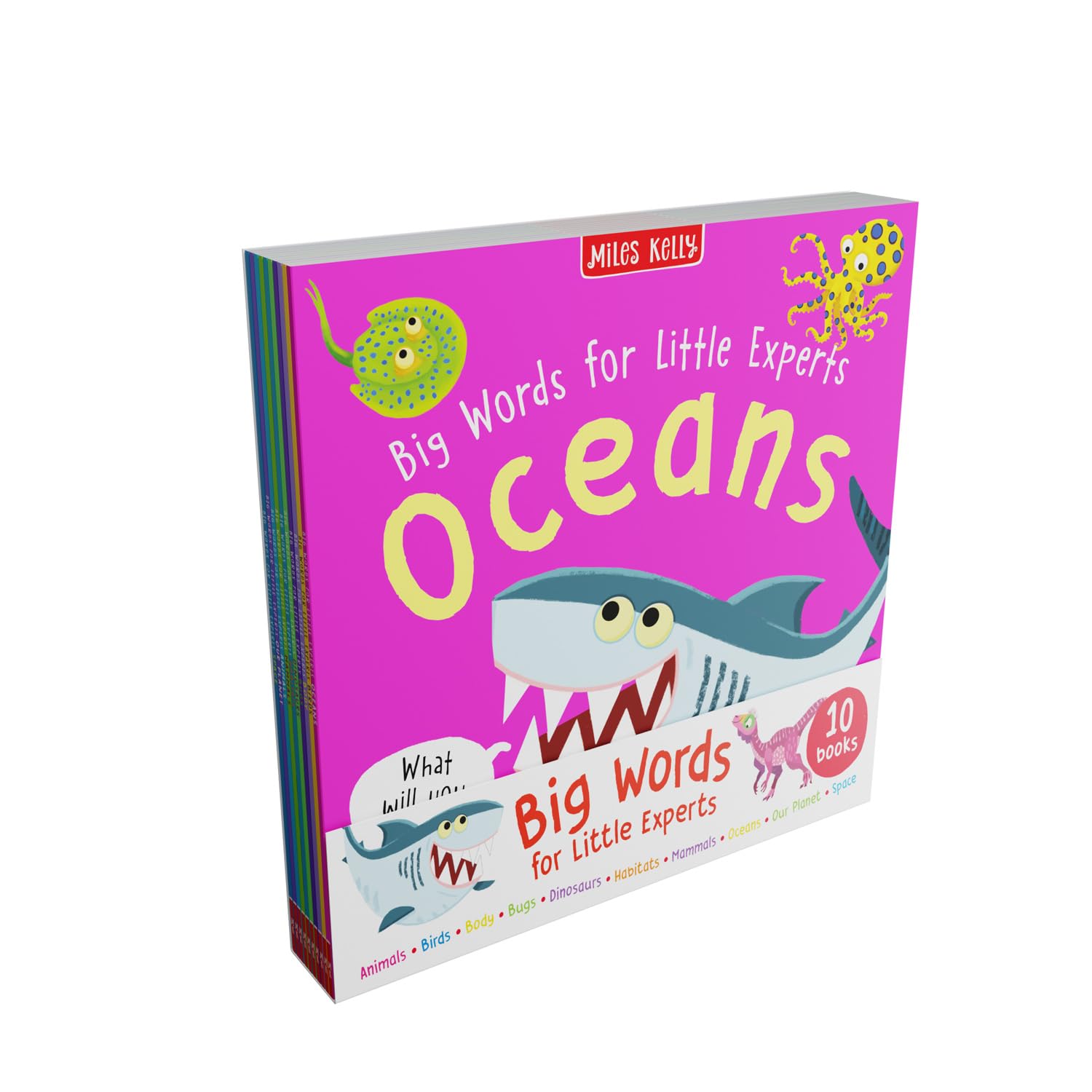 MY BIG BOOK OF WORDS 未開封　新品 2026年最新】my big book of wordsの人気アイテム - メルカリ