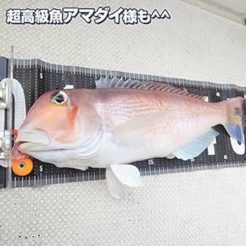 Amazon | 鯛ラバ タイラバ 鉛 ヘッド メタル 交換用 90g (銀