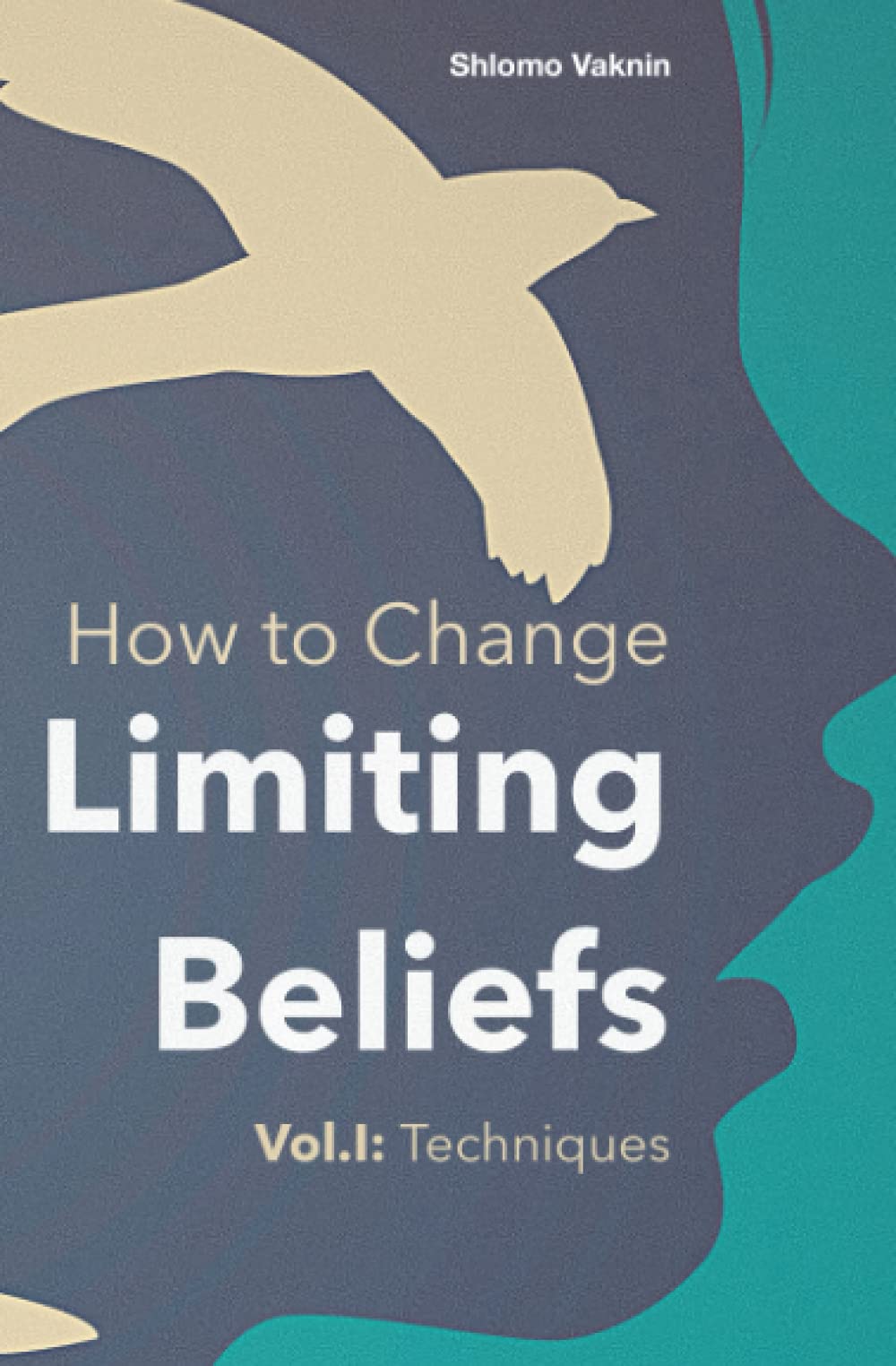 How to Change Limiting Beliefs, Vol.I: Techniques