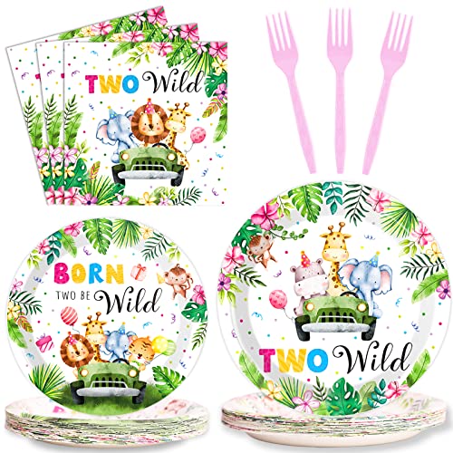 Wiooffen 24 Guests Two Wild Birthday Party Supplies Girl Safari Jungle Theme 2nd Birthday Paper Plates and Napkins Tableware