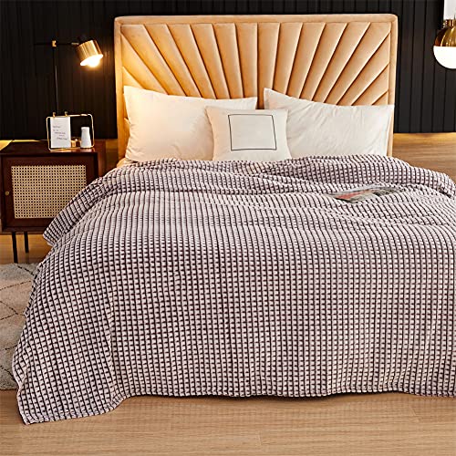 JQDZX Kuscheldecke Wohndecke, Weiche Flauschige Flanell Sofadecke Überwurfdecke, Microfaser Plüschdecke Tagesdecke Bettüberwurf, als Sofaüberwurf, TV-Decke oder Wohnzimmerdecke (Red Wine,150 * 200cm) Cover