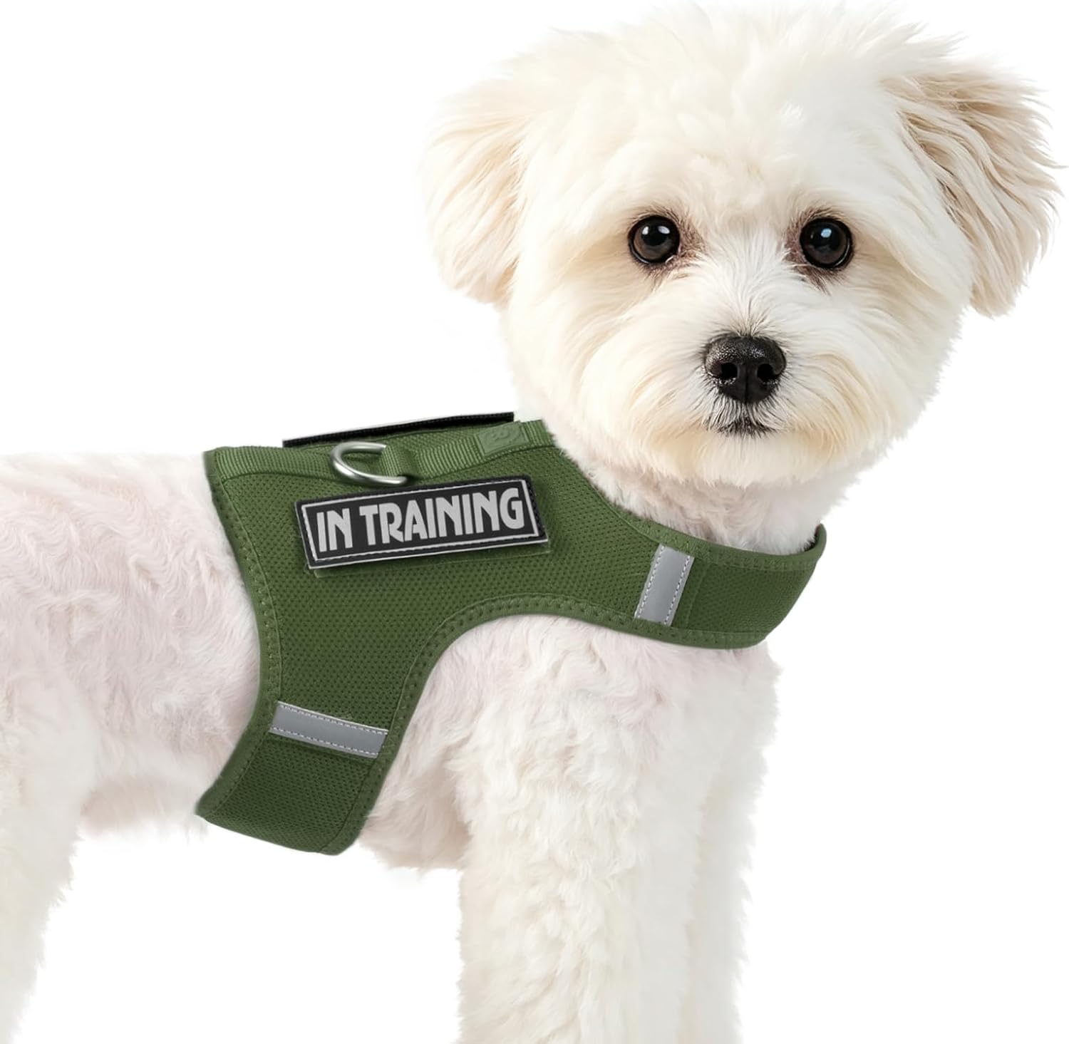 Dog Harness Cat Puppy Vest with 2 Patches for Small Sized Pet | Misty Green S, No Pull & No Choke, Breathable Mesh, Easy Wear with Hook & Loop, Light and Reflective for Walking, Adjustable