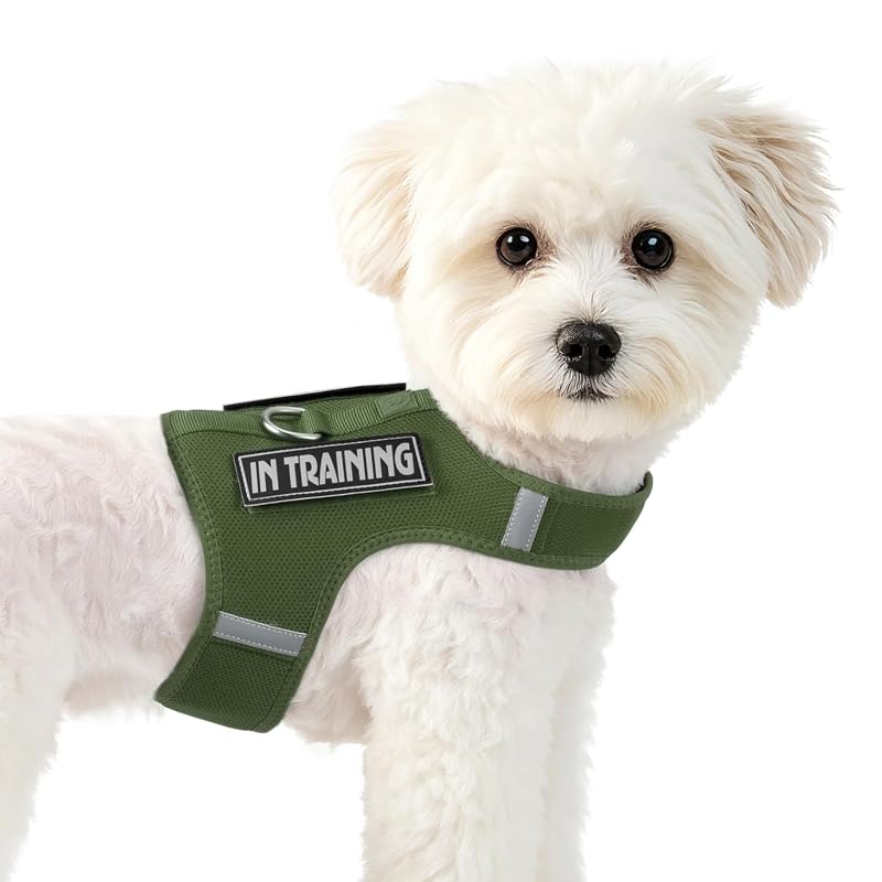 Peitoral para cães e gatos pequenos com malha respirável Sunraymascota Misty Green XS, 1 unidade