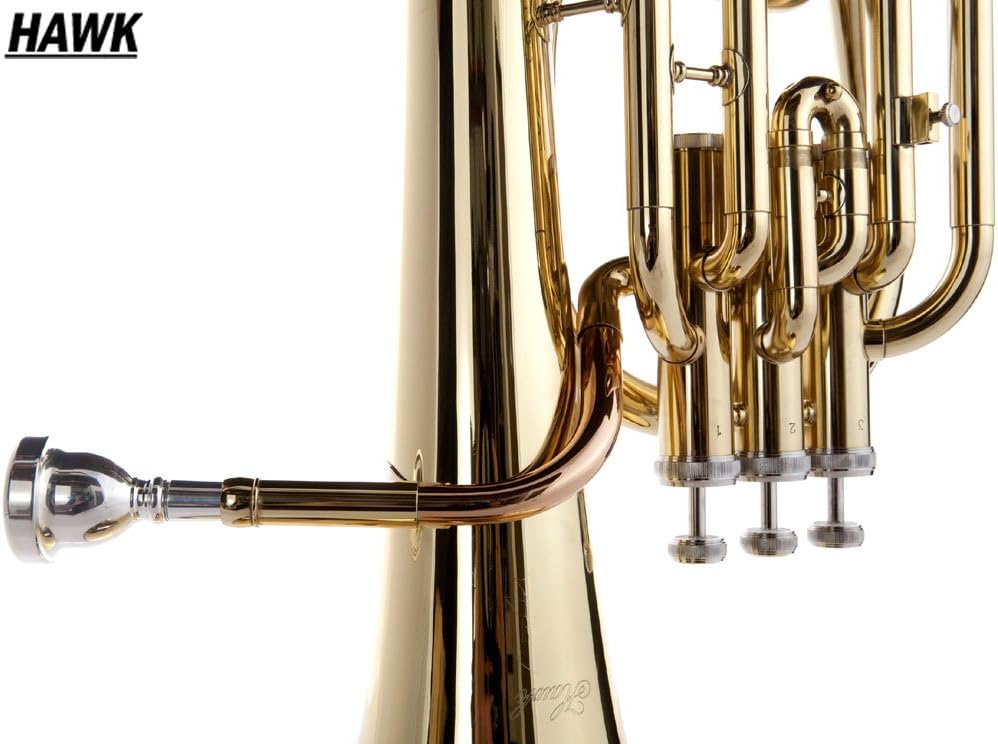 Hawk WD-BT512 Baritone Horn with Case and Mouthpiece, Nickel : Musical Instruments