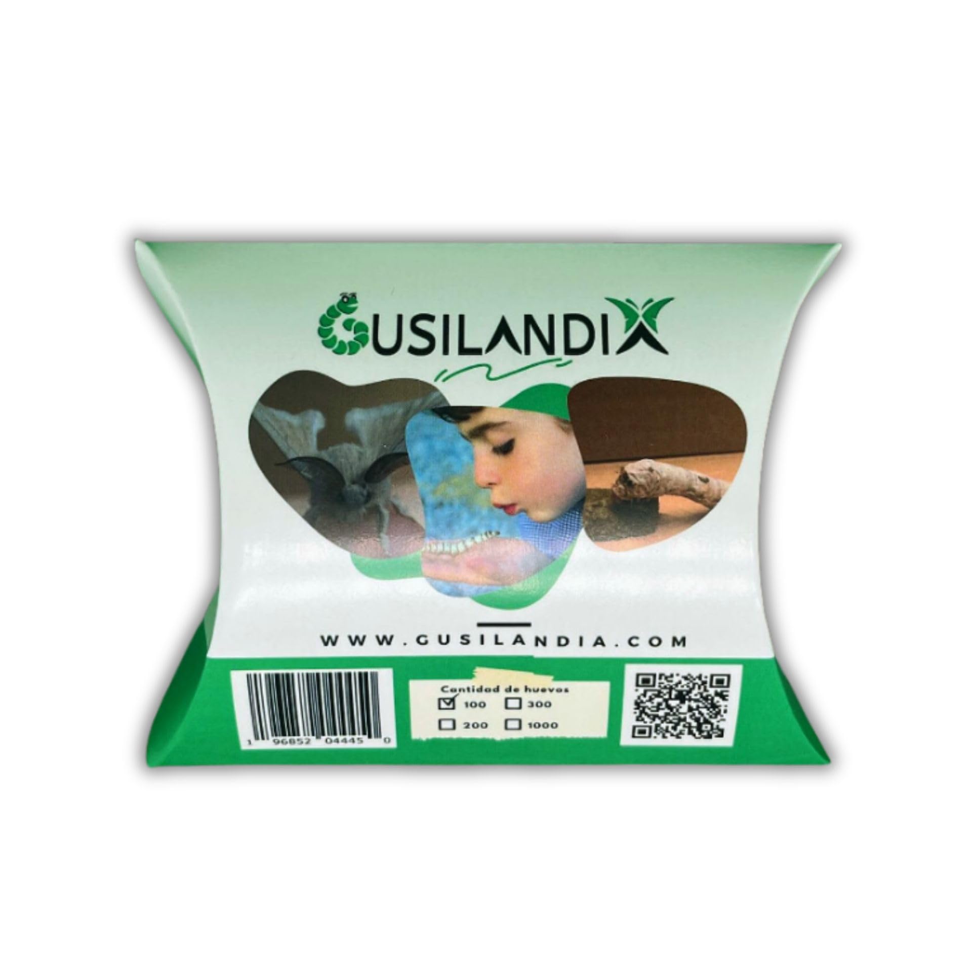 100 Huevos de Gusanos de Seda – Eclosionan en 10 días – Clásicos – Blancos