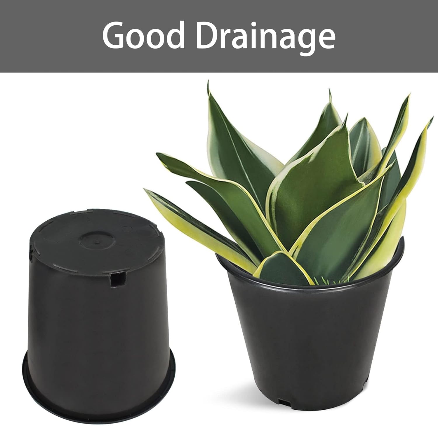2 Gallon Plant Nursery Pot 10-Pack 2 Gallon Plastic Garden Planter Pots Flower Seedling Injection Molded Container Seed Starting Pot for Indoor Outdoor Plants Seedlings Vegetables Black