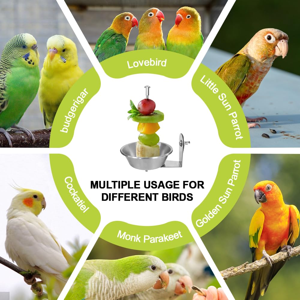 Set of 1 Bird Cage Feeder for Vegetable & Fruit, Parrot Fruit Holder with Dish Bowl Design to Keep Clean, No Mess Bird Food Veggies Skewer for Parakeets, Cockatiels, Lovebirds, Budgies, Conures - image 7