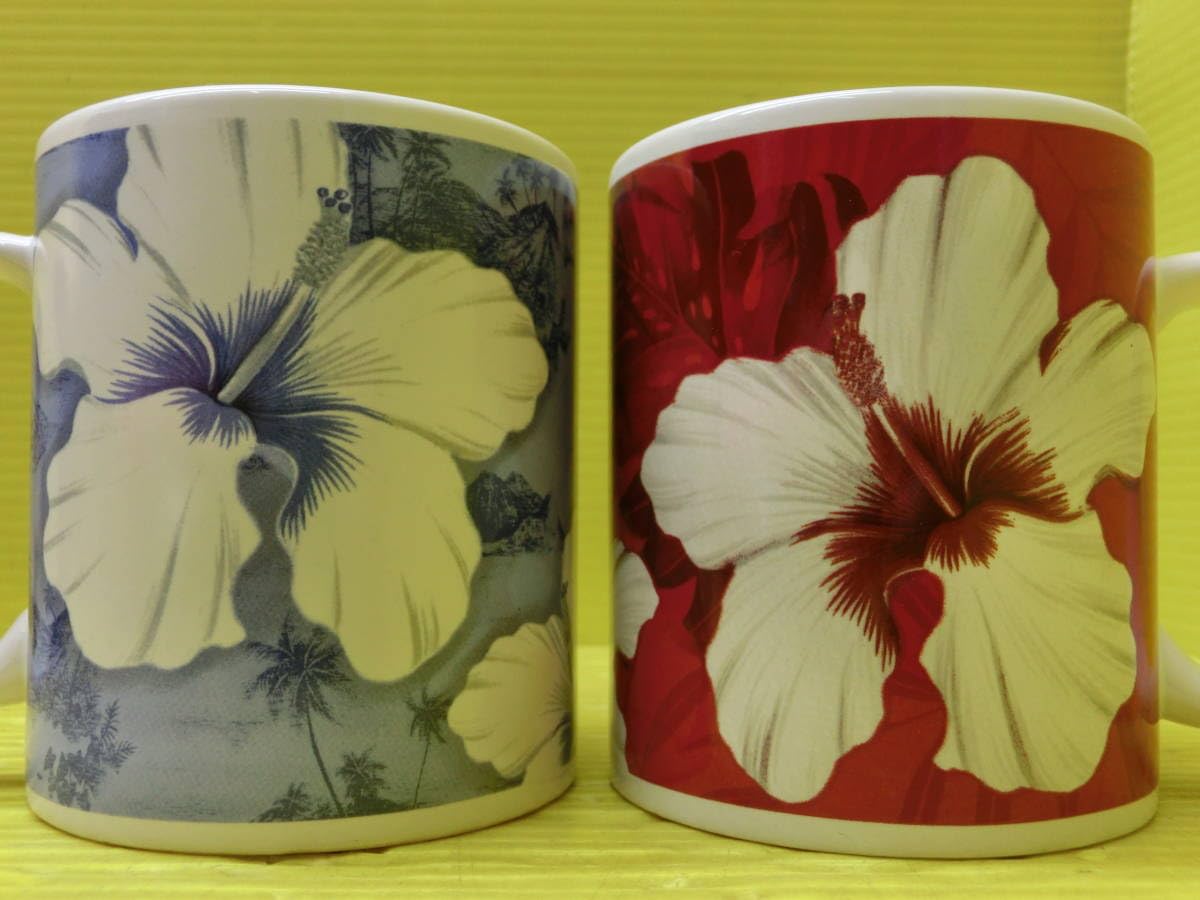  ハイビスカスマグカップ＆プレート2点セット Amazon.co.jp: ハワイ ABCストア限定ノスタルジア ハイビスカス