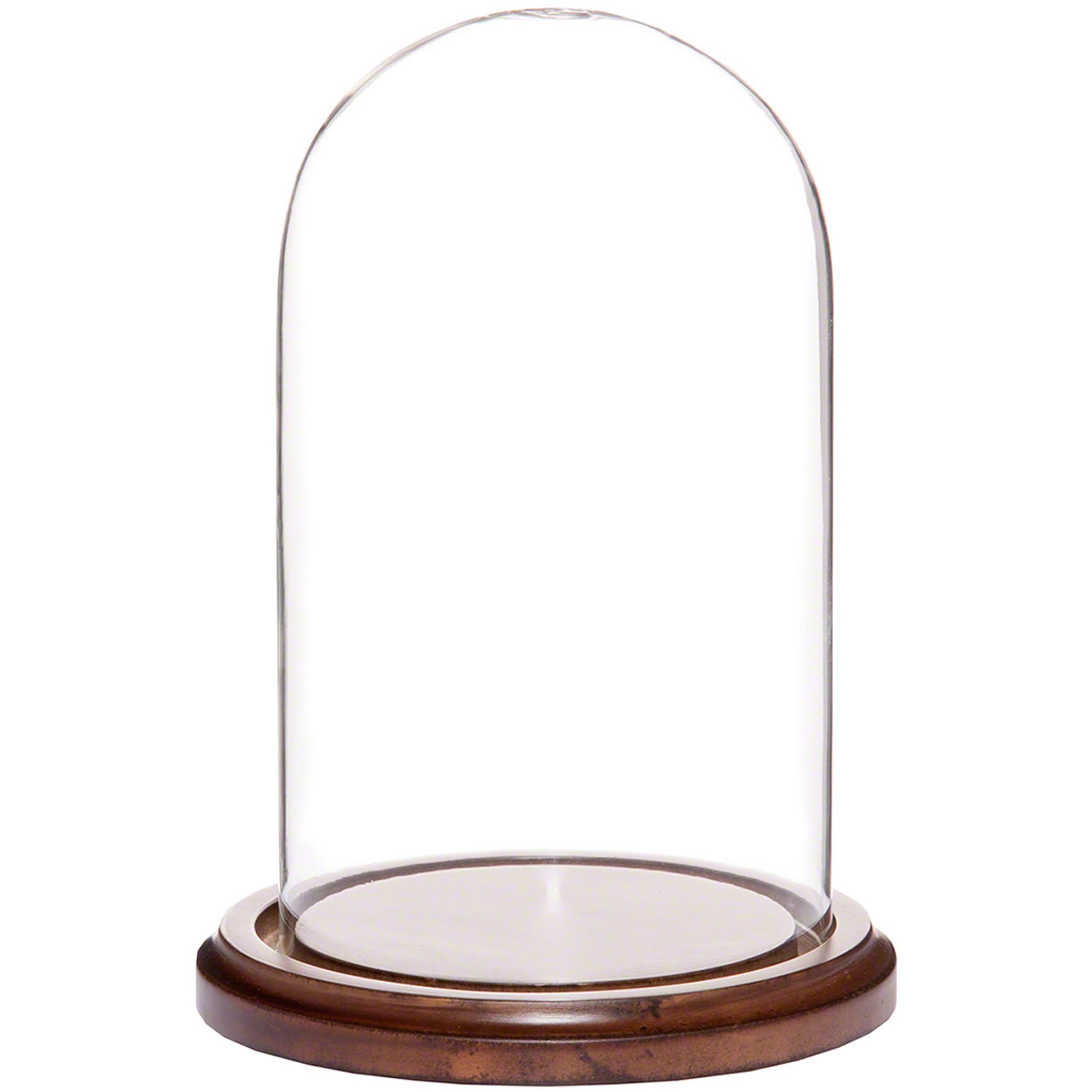 Plymor4" x 7" Small Glass Display Dome Cloche (Walnut MDF Base)