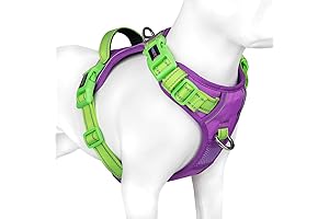 PHOEPET No Pull Buzz Lightyear Dog Vest