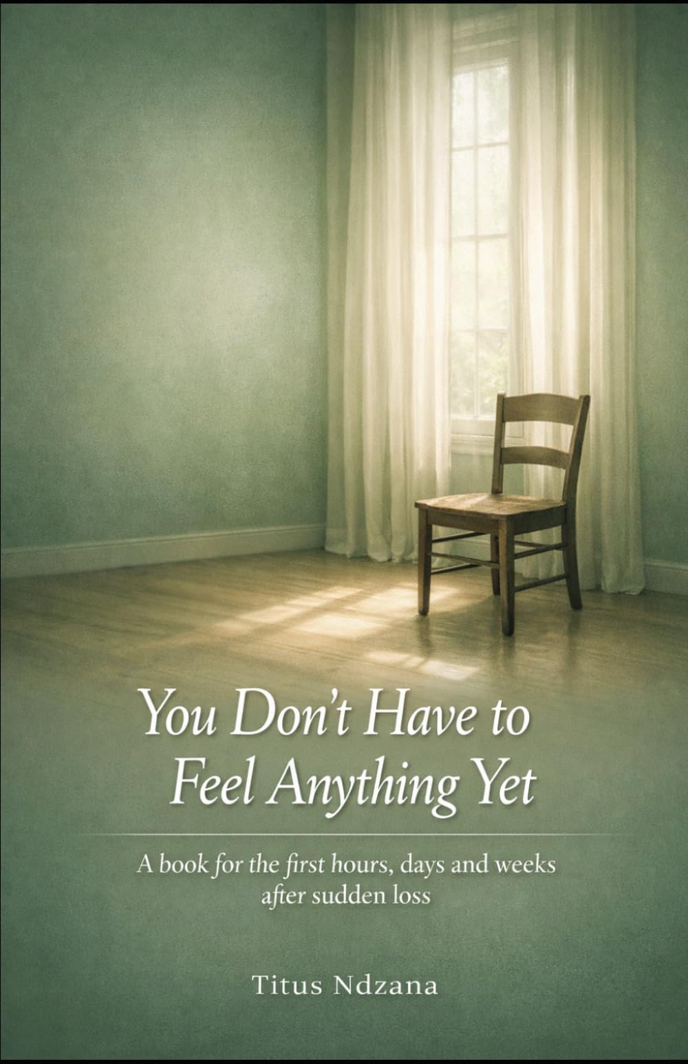 You Don't Have to Feel Anything Yet: A book for the first hours, days, and weeks after sudden loss