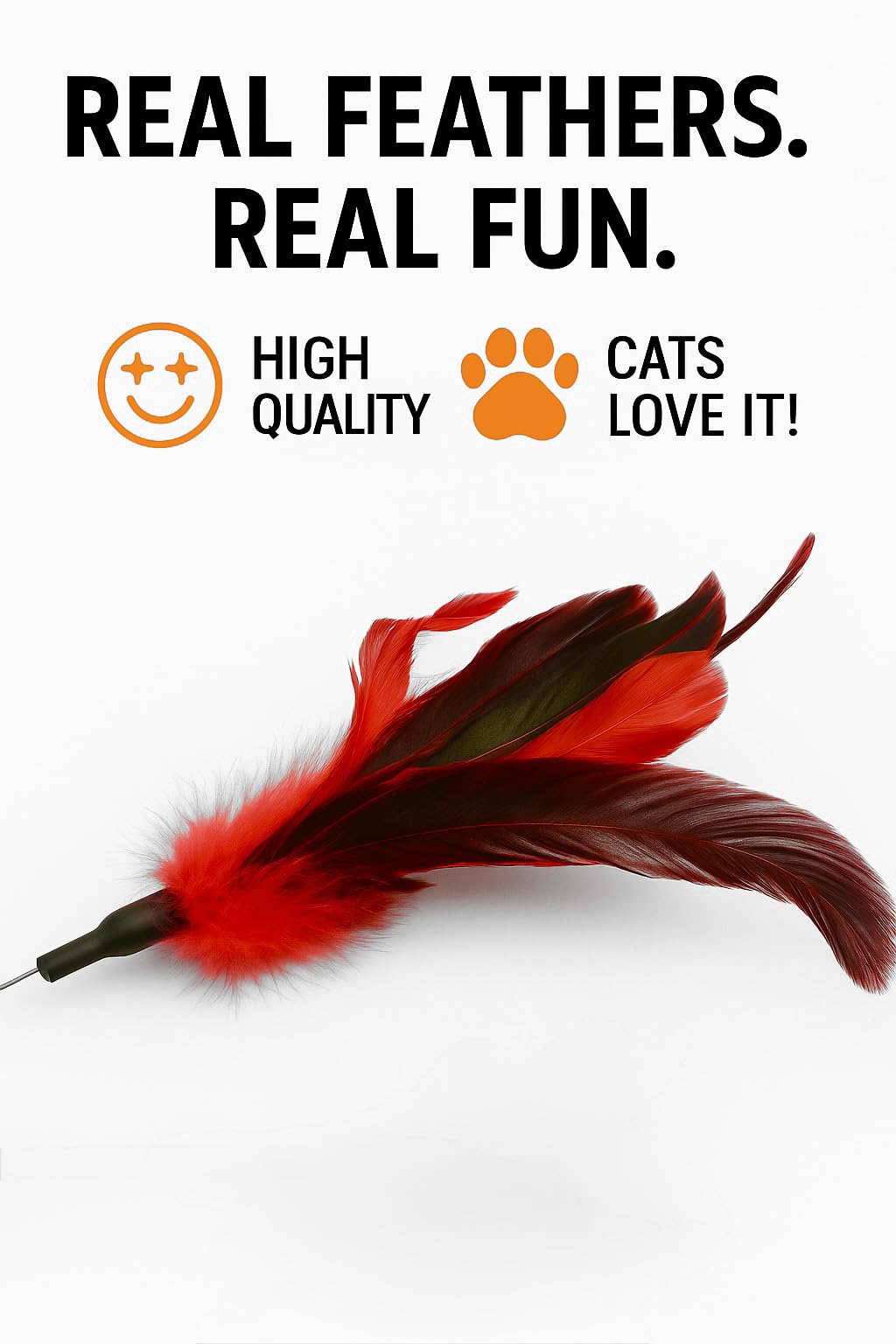 Paws Power Cat Wand Toy Feather Sticks - 5 Piece Interactive Wands Toy Set with Feathers, Durable Spring Design - Perfect for Engaging Playtime Fun for Kittens and Cats - Cat Toys for Indoor Cats