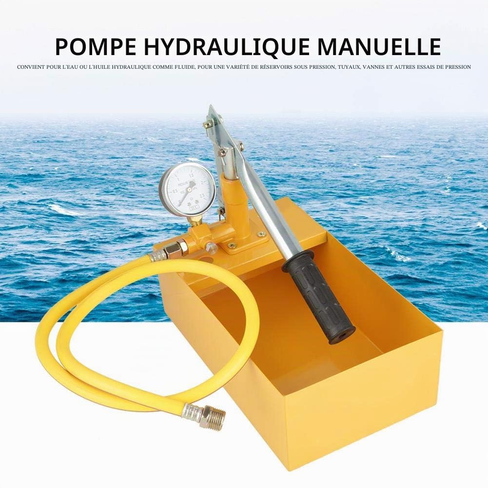Pompe de Test de Pression Manuelle, Testeur pour Tuyau d'Eau et Chauffage au Sol, 25 Bar