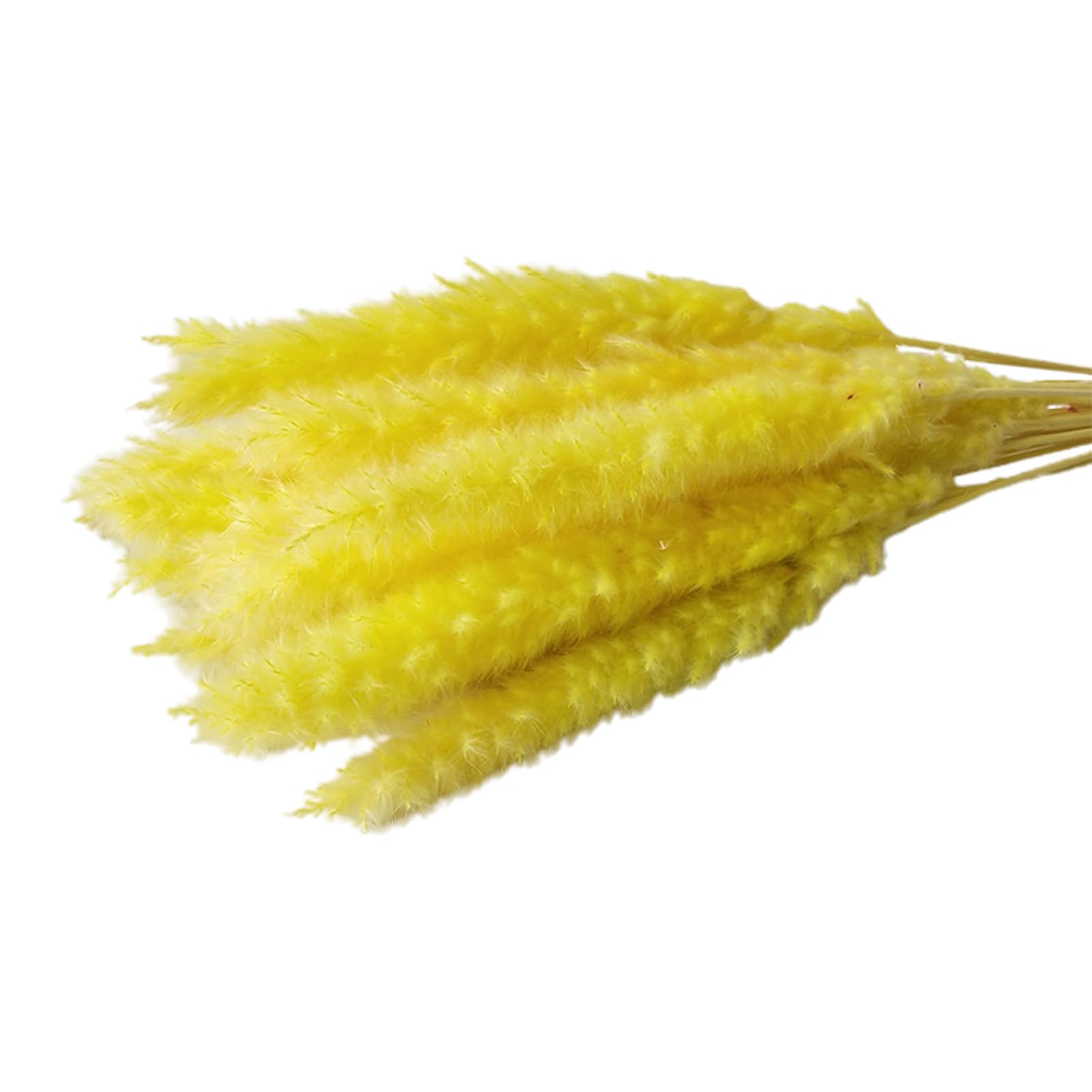 Wilitto Artificial Dried Pampas Grass,Artificial Flowers Realistic Vibrant Color Easy Maintenance Wedding Centerpiece Pampas Grass Fake Plant Decor Yellow