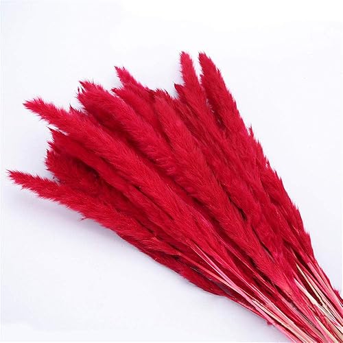 Miniatura 8 de Paquete de 100 gavillas de trigo seco marfil, arreglos de otoño premium, al por mayor, bricolaje, mesa para el hogar, boda, Navidad (amarillo)