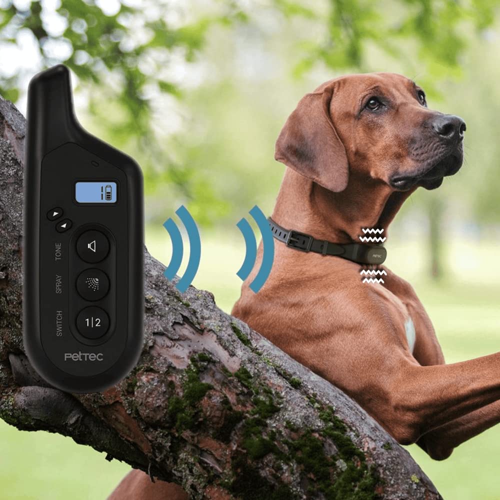 PetTec Collar de adiestramiento para Perros con vibración y señal acústica, Mando a Distancia de 300 m, batería Recargable y Resistente al Agua IPX7, 16 Niveles de Intensidad de vibración
