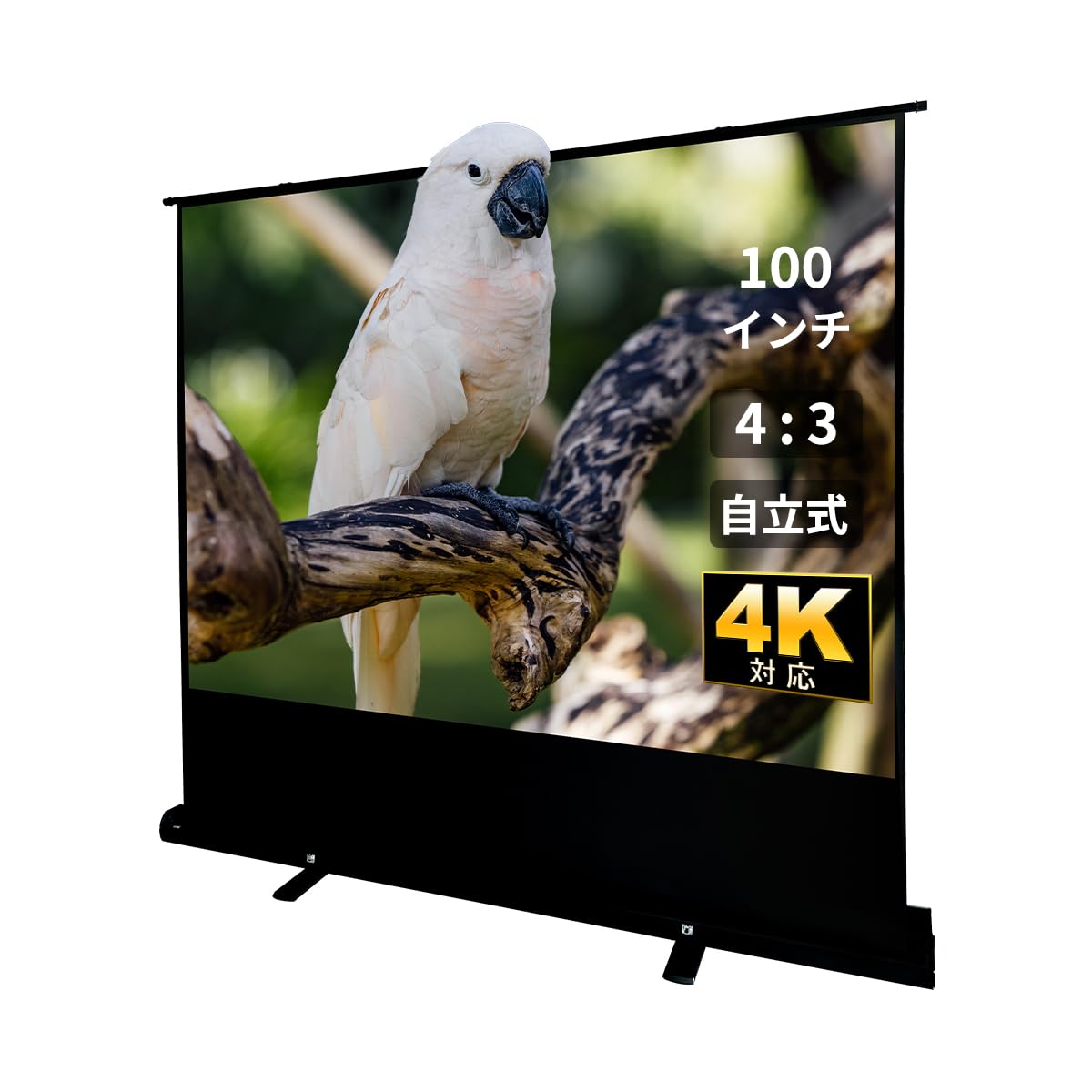 Amazon | RAKU プロジェクタースクリーン 自立式 80/100 インチ 16:9/4 