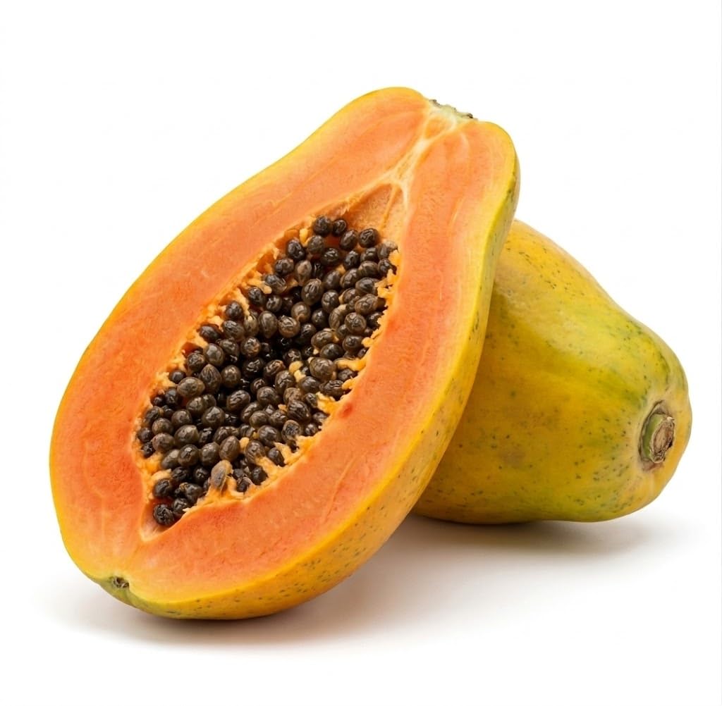 2Piante di Carica Papaya su vaso cm 12 h 20/25cm MODIPITRE