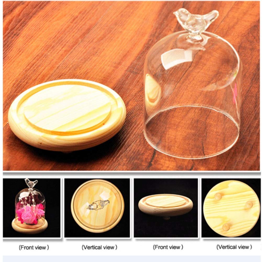 Forart Clear Glass Cloche Bell Jar Display Case with Bird Handle Wooden