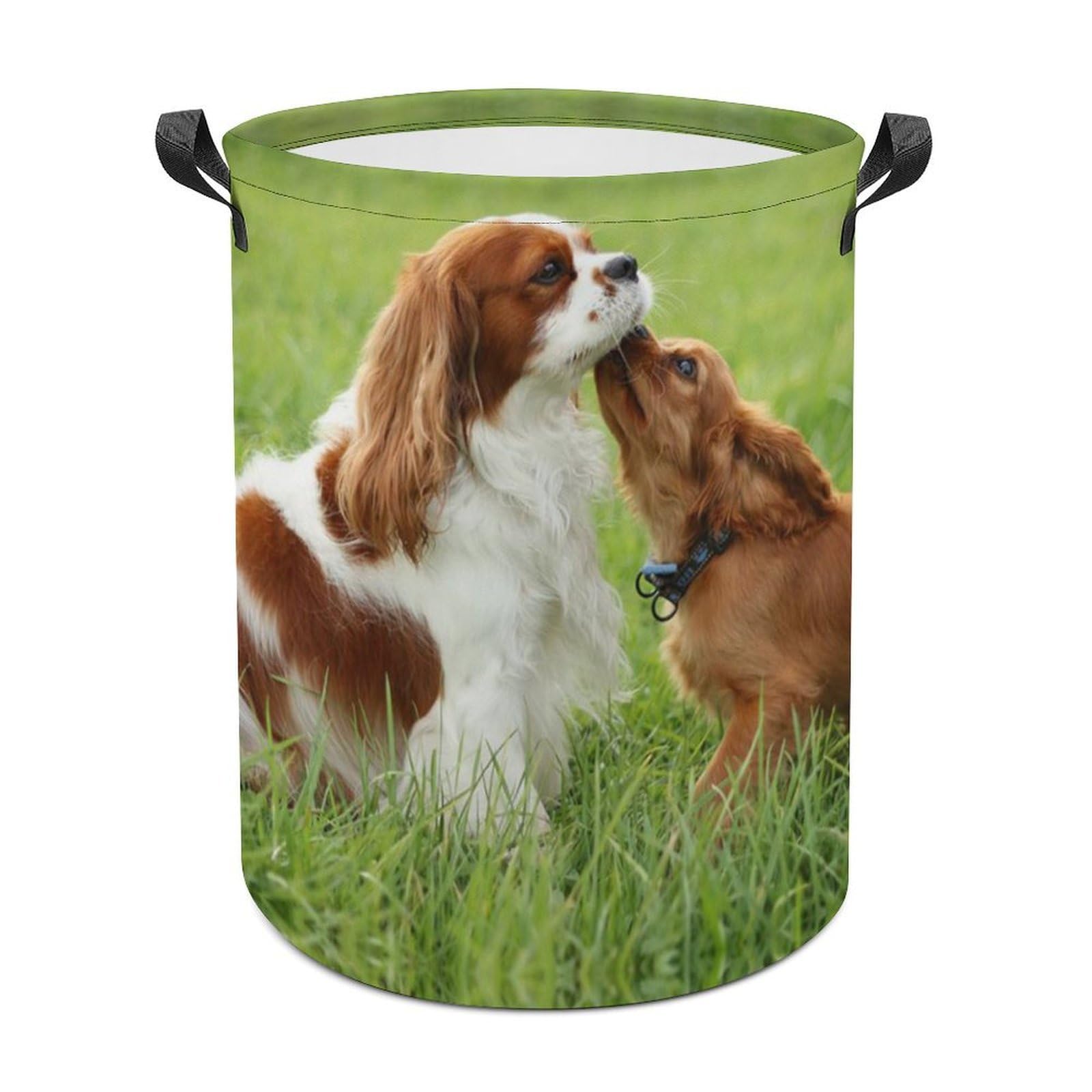 Wlntrophic Laundry Hamper, Cavalier King Charles Spaniel Laundry Basket, Washing Basket with Handle