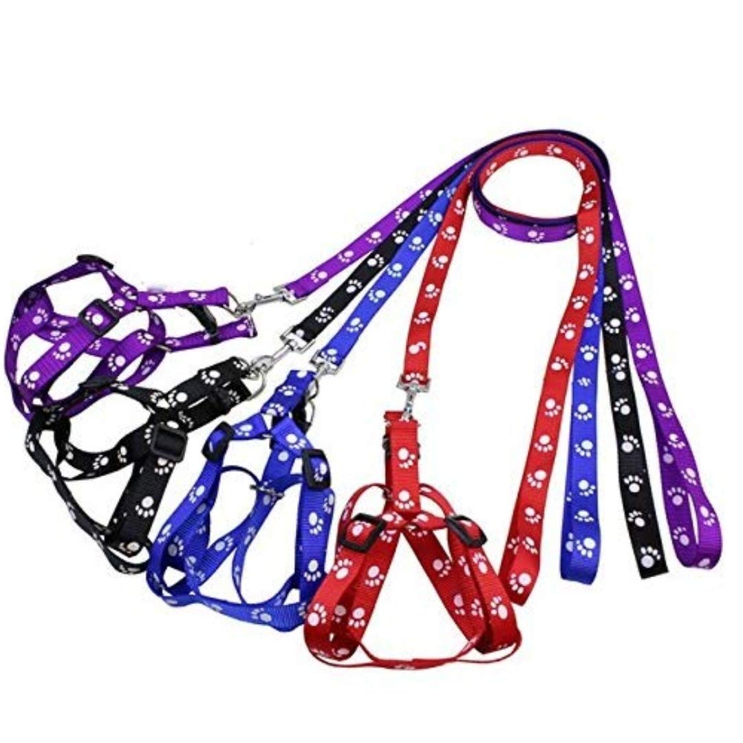 See full amazon price history chart for RvPaws 15 mm Paw Print Nylon Puppy Harness & Leash Set Adjustable for Small & Medium Dogs Pack of 1 (Color May Vary) RvPaws 15 mm Paw Print Nylon Puppy Harness & Leash Set Adjustable for Small & Medium Dogs Pack of 1 (Color May Vary) (B09PBS2MS2) Amazon Price History, Amazon Price Tracker