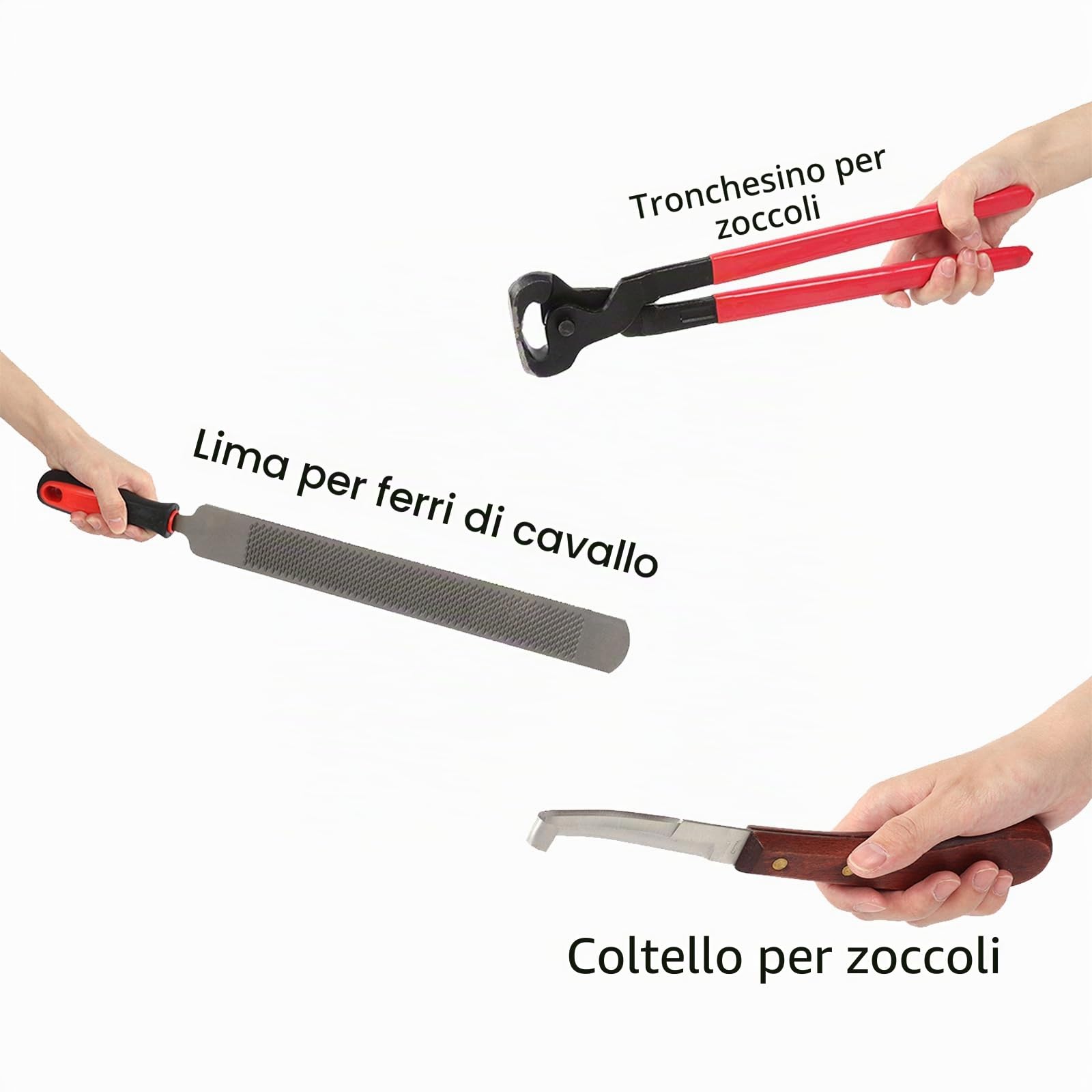 Kit Attrezzi per rifinitura Zoccoli Maniscalco per Cavalli, Attrezzi Professionali per rifinitura Zoccoli Cavalli, cesoie in Metallo, tronchesi per Zoccoli da Maniscalco
