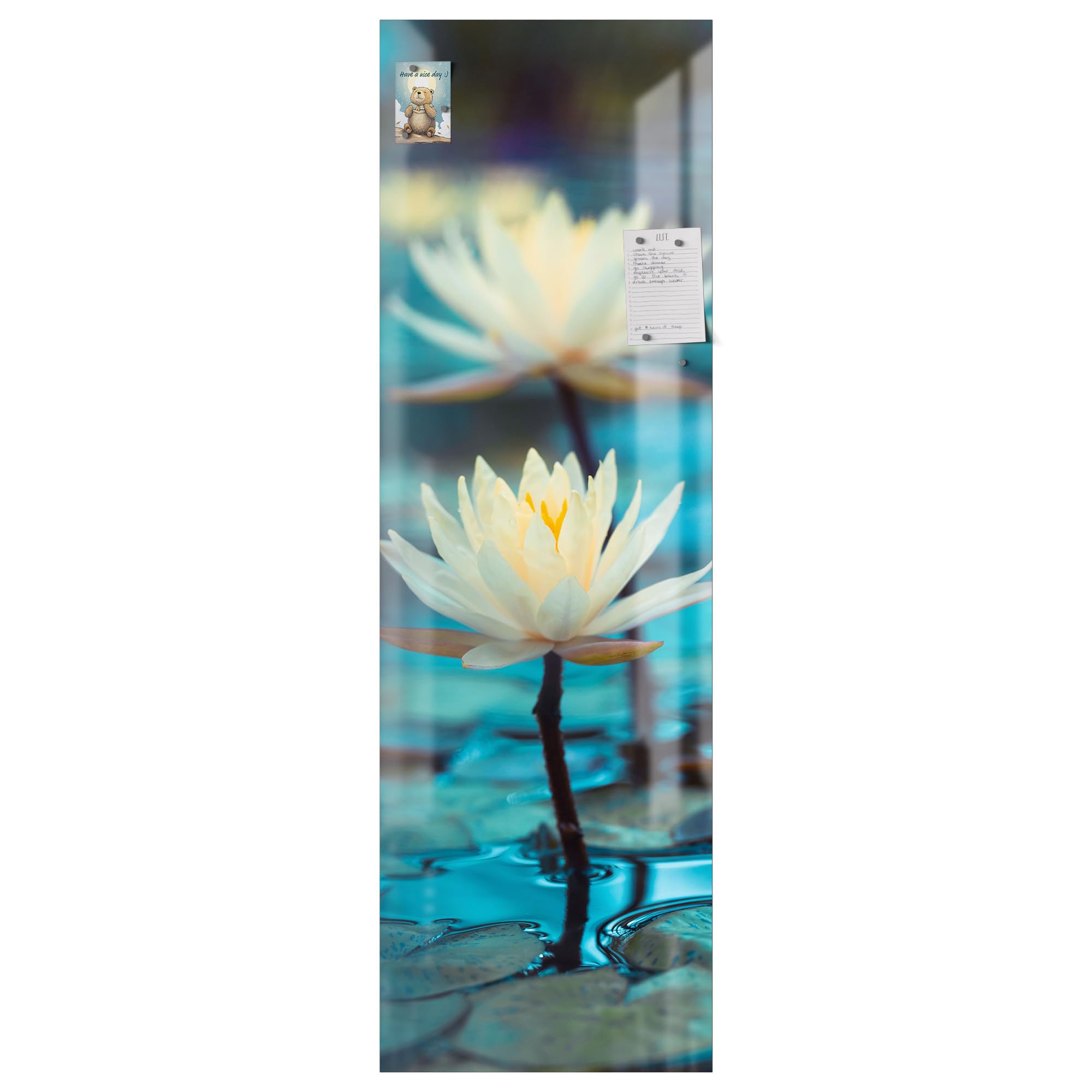 DEQORI Pellicola magnetica per frigorifero, 60 x 190 cm, motivo ninfee, serenità, tappetino magnetico decorativo per congelatore, pellicola decorativa magnetica, autoadesiva, magnetica e scrivibile