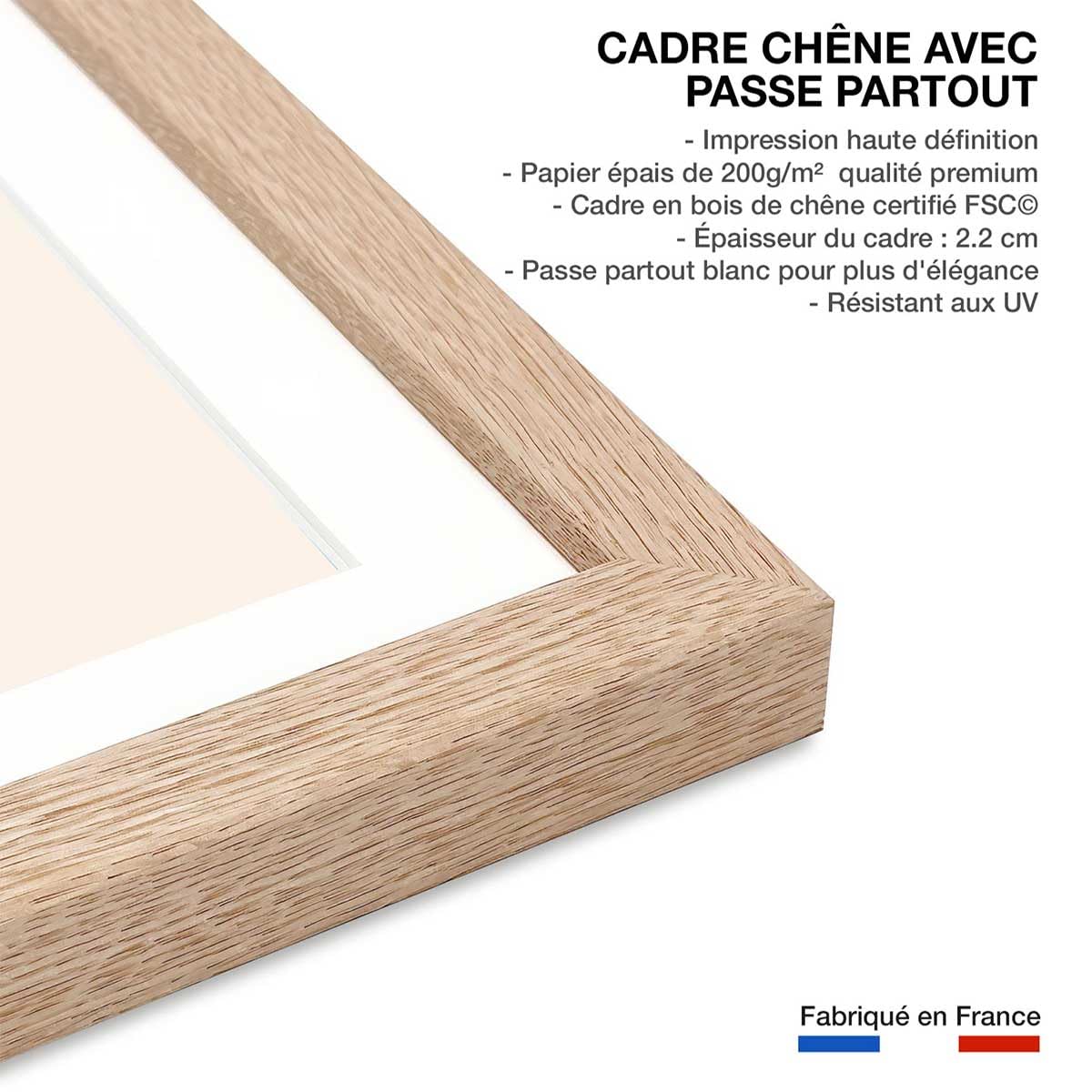 Póster gráfico de planta en maceta, fabricado en Francia, 60 x 90 cm
