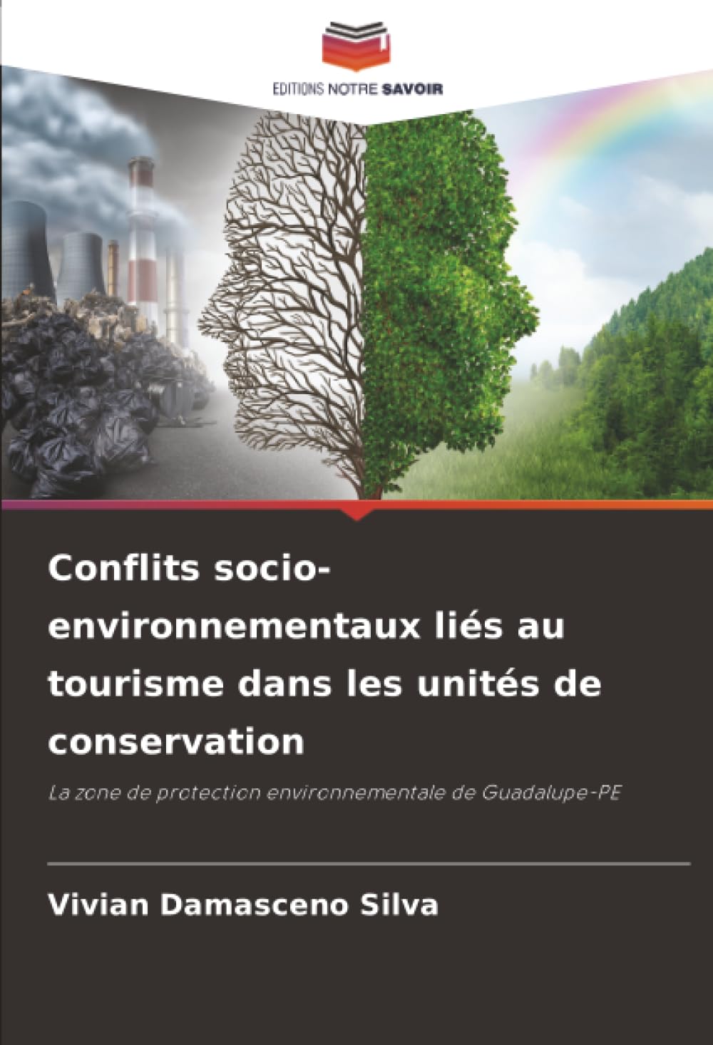 Conflits socio-environnementaux liés au tourisme dans les unités de conservation: La zone de protection environnementale de Guadalupe-PE