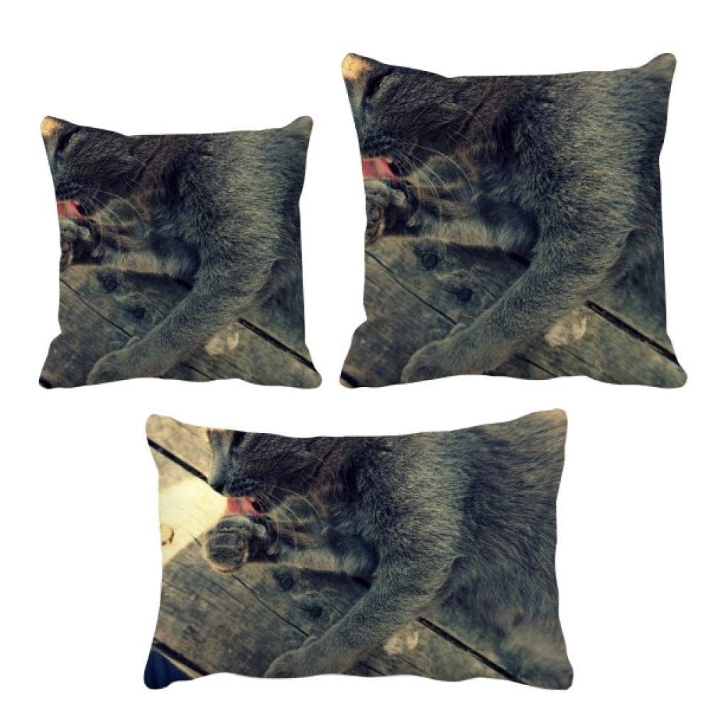 Housse de coussin déco canapé salon gris motif animal original