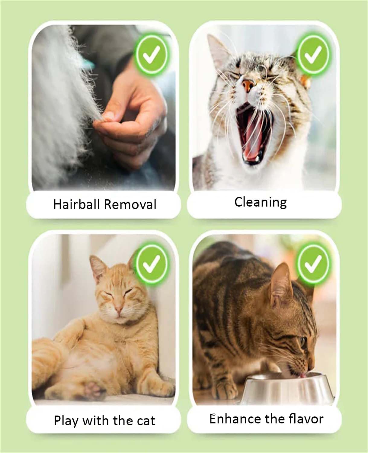 NGPCLYINYI 18PCS Cat Grass Sticks,Cats Grass Chew Sticks,Cat Teeth Cleaning Molar Rod for Cats Indoor,for Hairball Removal