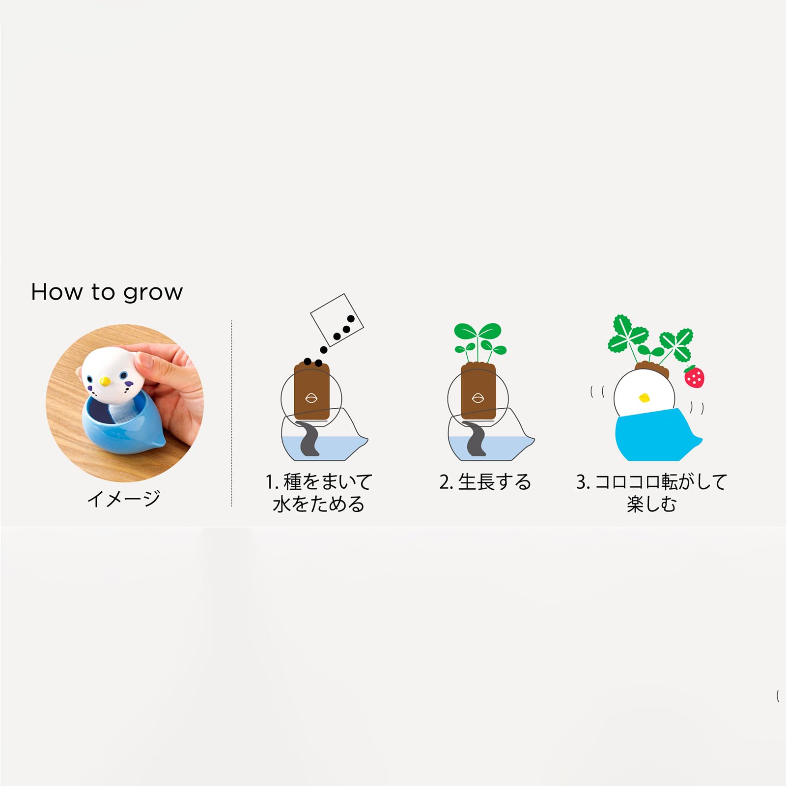 Amazon.co.jp: 聖新陶芸 ｺﾛｺﾛﾊﾞｰﾄﾞ ｼﾏｴﾅｶﾞ/ﾐﾝﾄ サイズ：約W7.5 D5.8