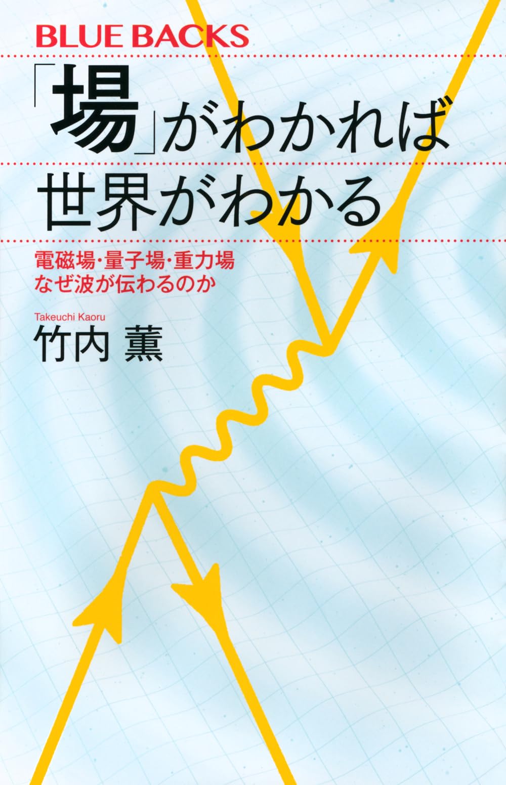 場」がわかれば世界がわかる 電磁場・量子場・重力場 なぜ波が伝わる