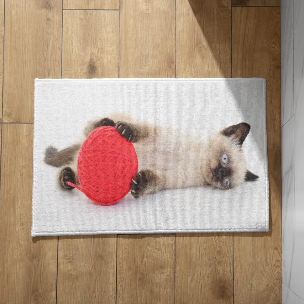 Tapis de porte lavable machine CEVAN paillasson d'entree interieur anti-salissure