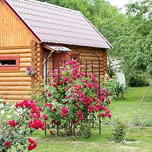 YITAHOME Garden Trellis Garden Fencing for Climbing Plants 4 Pack Decorative Plant Trellis Vegetables and Flower Trellis for Outdoor Patio-19.7×86.6 inches YITAHOME Garden Trellis Garden Fencing for Climbing Plants 4 Pack Decorative Plant Trellis Vegetables and Flower Trellis for Outdoor Patio 197866 inches