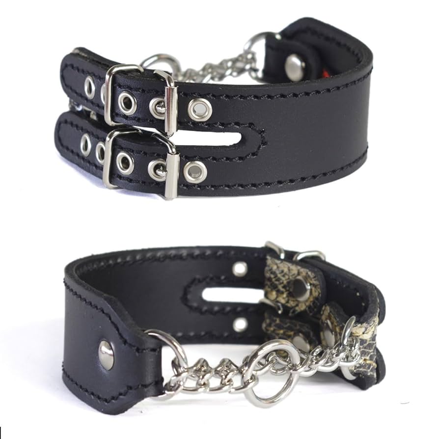 イタグレサンプル 楽天市場】イタグレ チョーカー（首輪・胴輪・リード｜犬用品