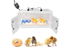 Wooden Chicken Brooder Box, Quail Brooder with Heater for Winter