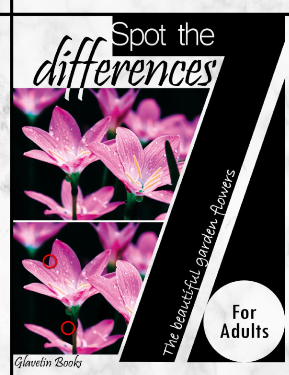 Spot the 7 differences for adults: The beautiful garden flowers