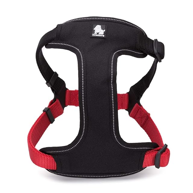 WINHYEPET Arnés para perro True Love reflectante para correr, caminar, chaleco de malla suave
