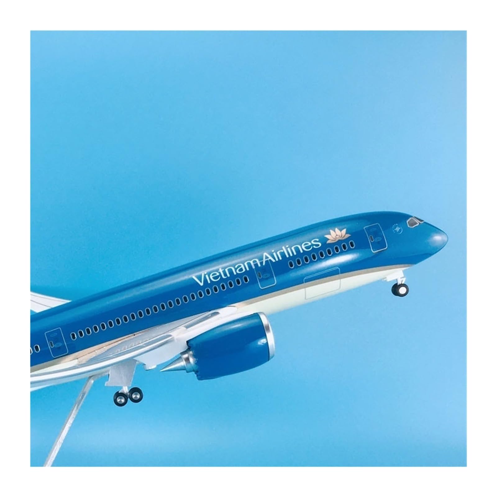 Modello di Aereo in lega 1 130 Aereo Con Ruote Per Boeing B787-9 Vietnam Airlines Modello Di Statico 43 Cm
