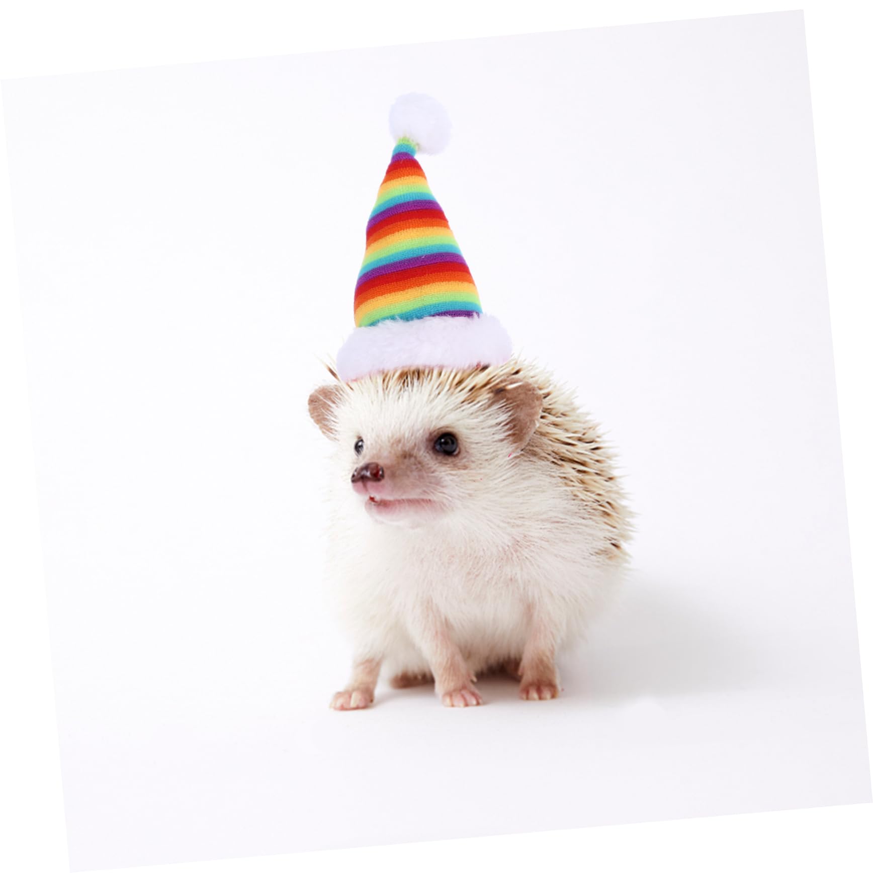 SUPVOX 2pièces Chapeau de Noël Décoratif pour Hamster et Cochon Chapeaux pour Lapin Accessoire de Fête