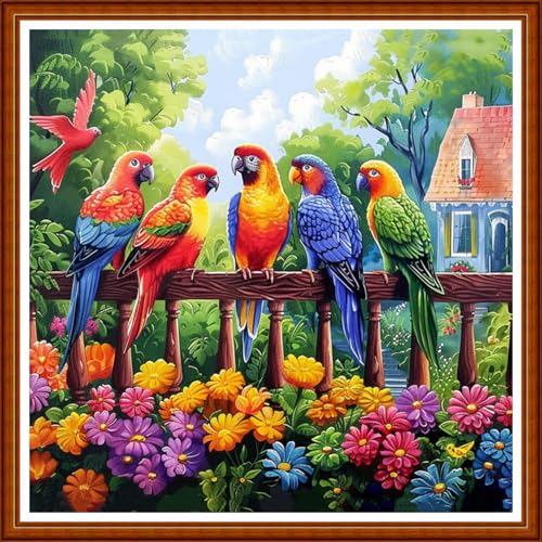 Image of Joyhoor Stamped Cross Stitch Kits for Beginners Needlepoint Kits for Adults Embroidery Kits 11CT Counted Cross Stitch Kits Printed Embroidery Pattern- Colorful Birds and Flowers 18x18 inchs