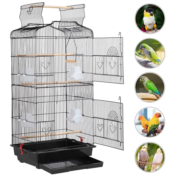 Cage à Oiseaux Décorative en Métal avec Toit Ouvrable, Balançoire, Perchoirs, Plateau Coulissant